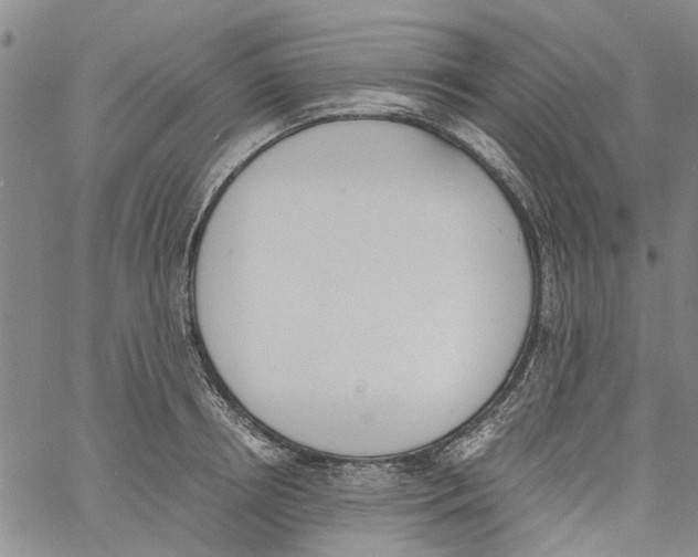 X0000060800850200512082148