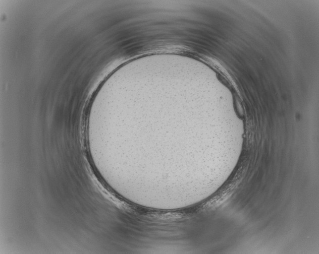 X0000060800851200512082148