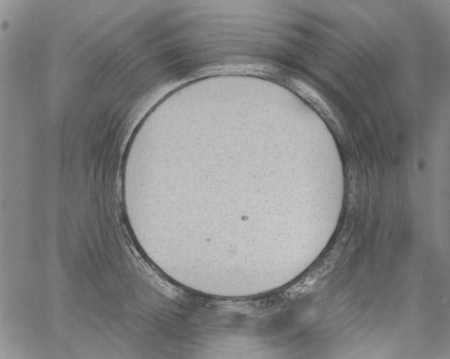 X0000060800852200512082148