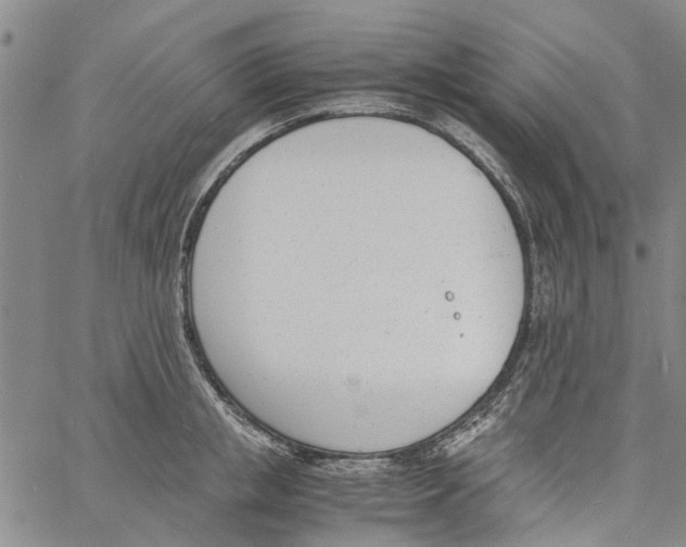 X0000060800853200512082148