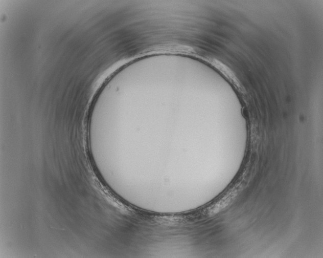 X0000060800854200512082148