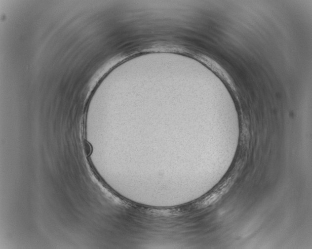 X0000060800855200512082148