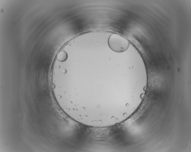 X0000060800856200512082148