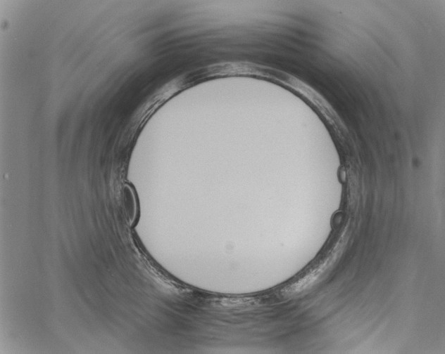 X0000060800857200512082148