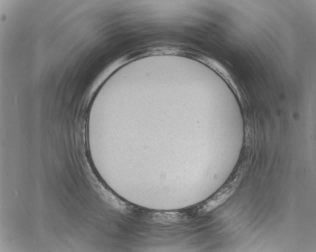 X0000060800859200512082148