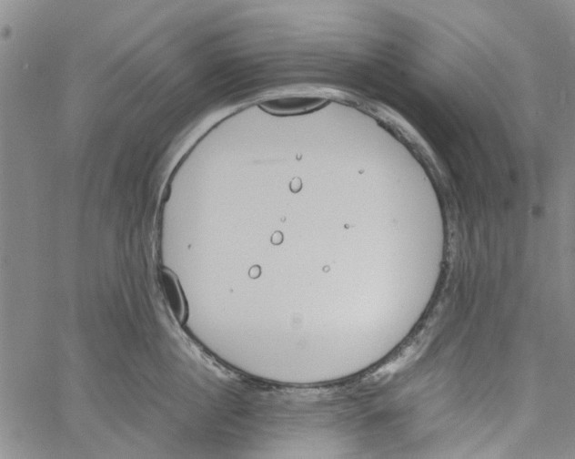 X0000060800860200512082148