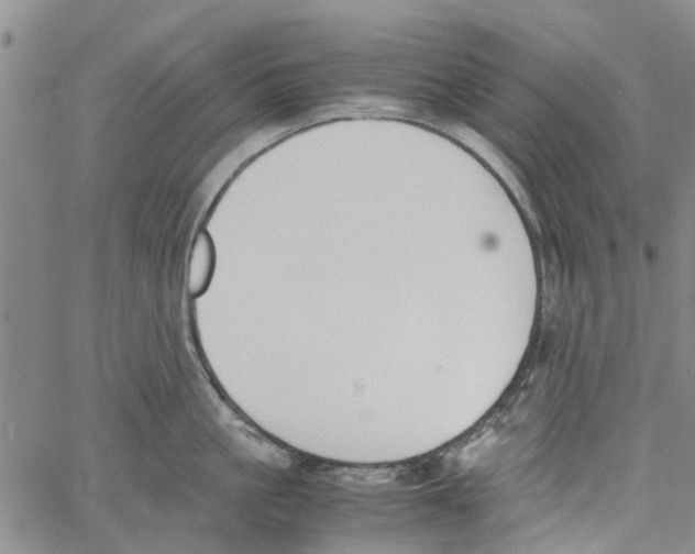 X0000060800861200512082148