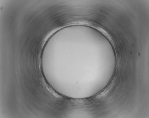 X0000060800862200512082148