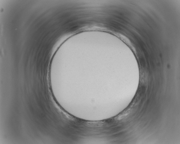 X0000060800863200512082148