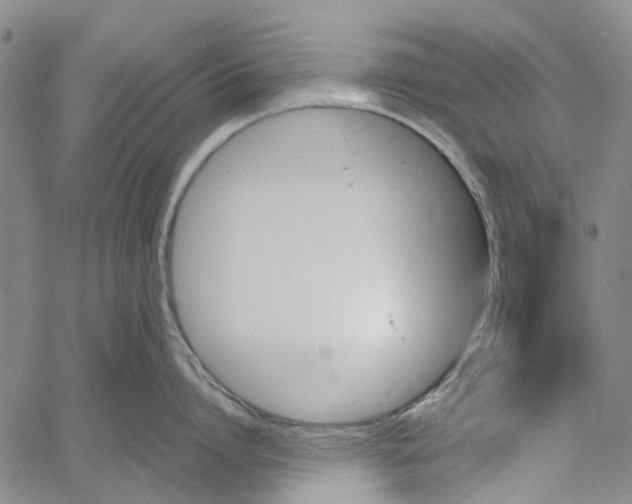 X0000060800864200512082148