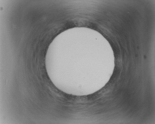 X0000060800865200512082147