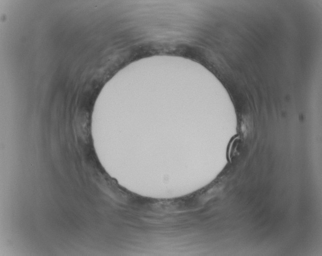 X0000060800867200512082147