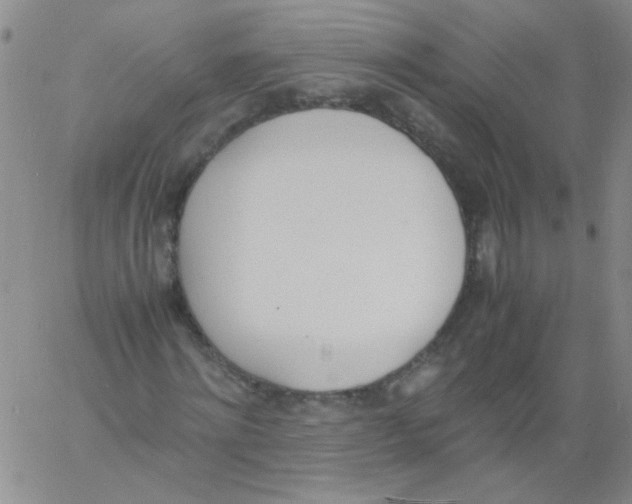 X0000060800868200512082147