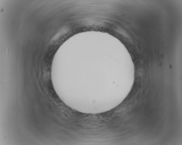 X0000060800869200512082147