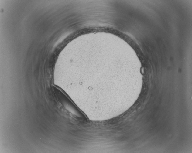 X0000060800871200512082147