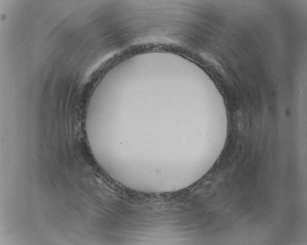 X0000060800872200512082147