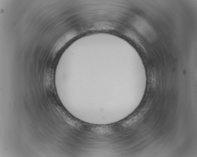 X0000060800874200512082147