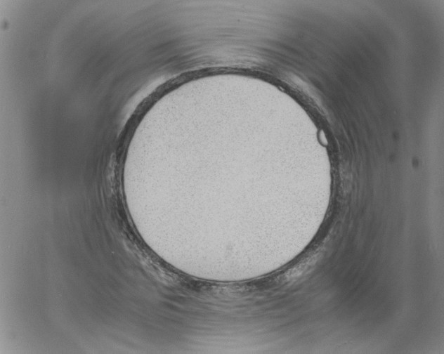 X0000060800875200512082147