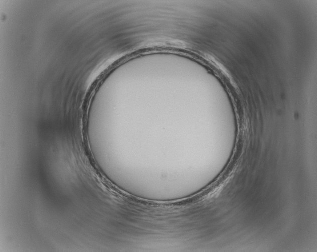 X0000060800877200512082147