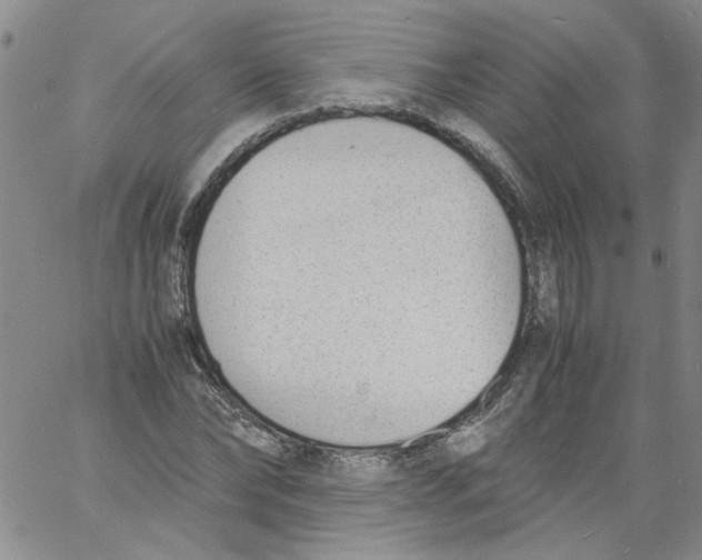 X0000060800878200512082147