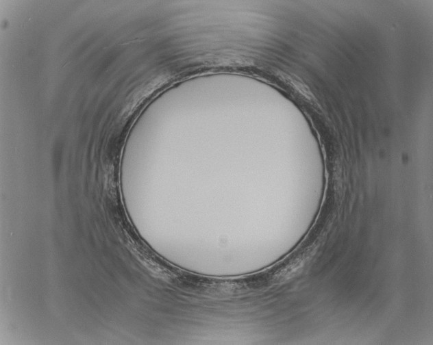 X0000060800881200512082147