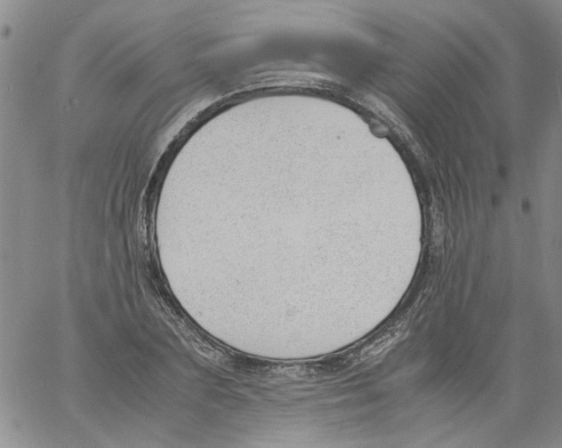 X0000060800883200512082147