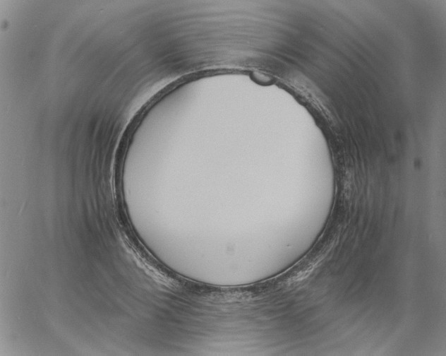 X0000060800884200512082147