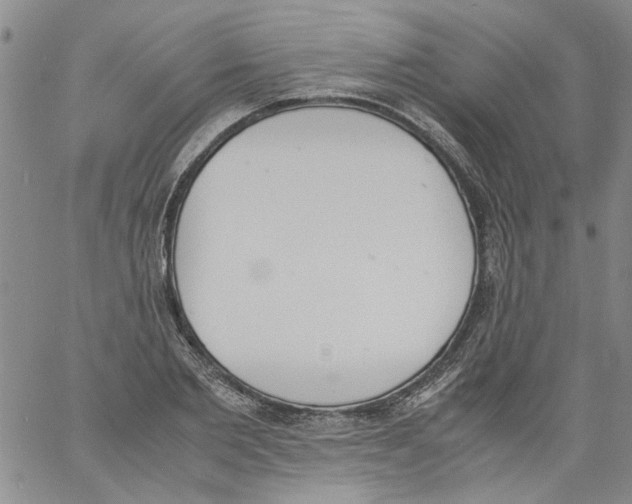 X0000060800885200512082147