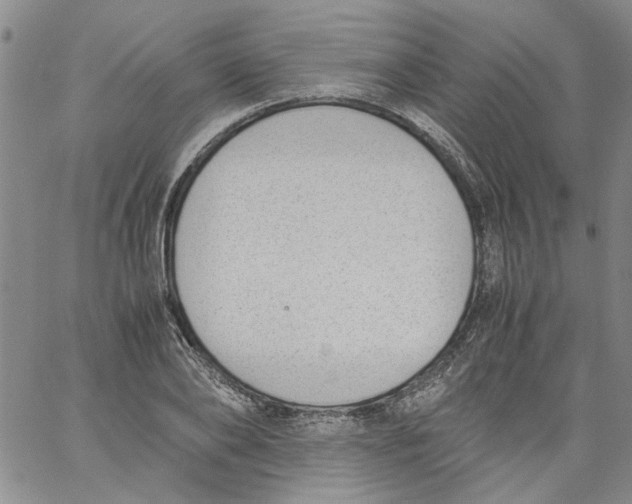 X0000060800886200512082147