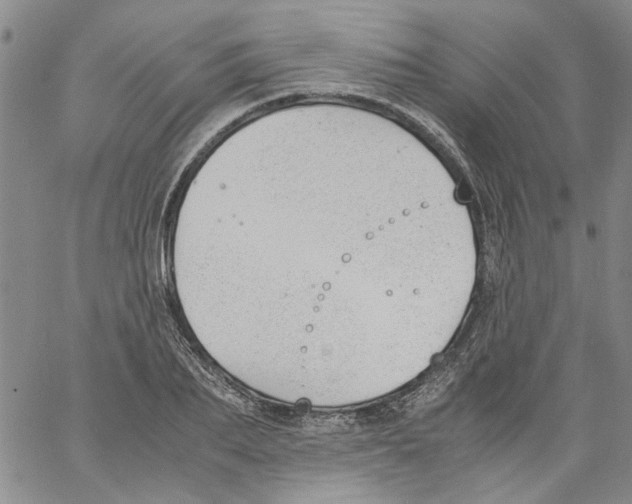 X0000060800887200512082147