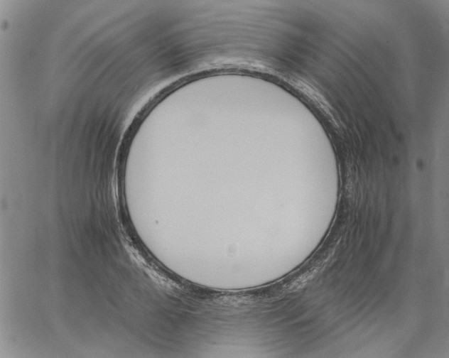 X0000060800888200512082147