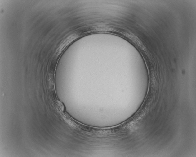 X0000060800889200512082147