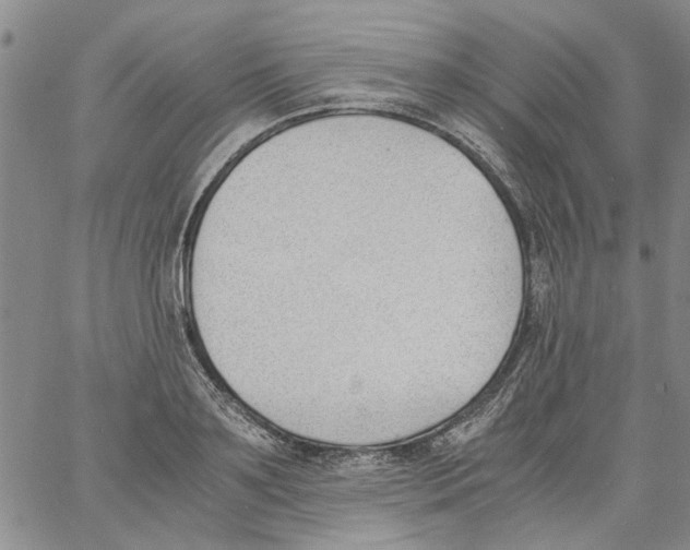 X0000060800891200512082147