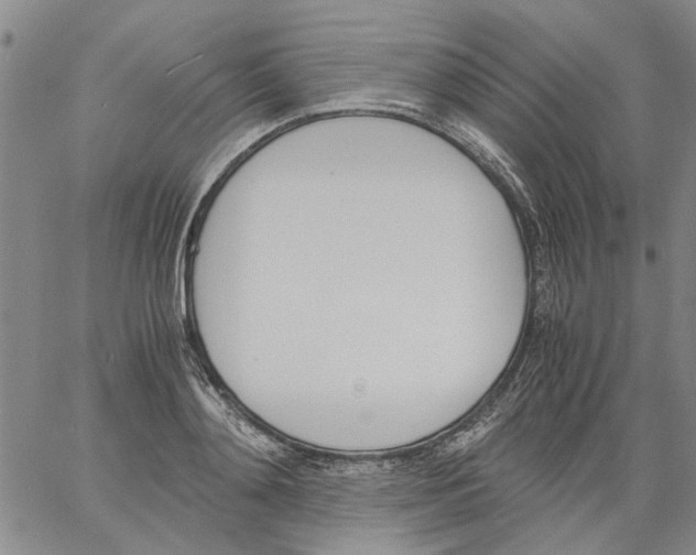 X0000060800892200512082147