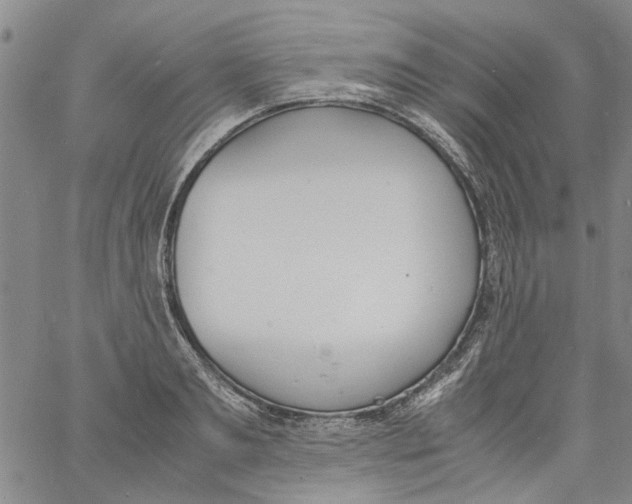 X0000060800893200512082147