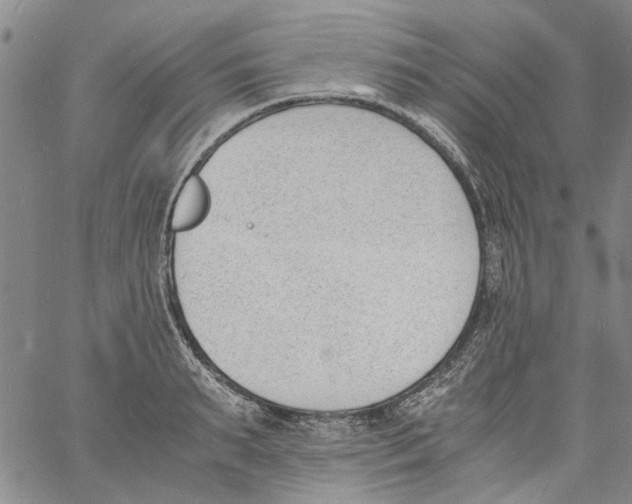 X0000060800895200512082147