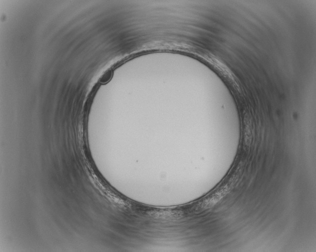 X0000060800896200512082147