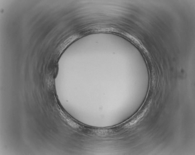 X0000060800897200512082147