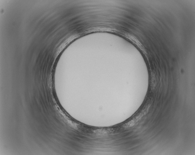 X0000060800898200512082147