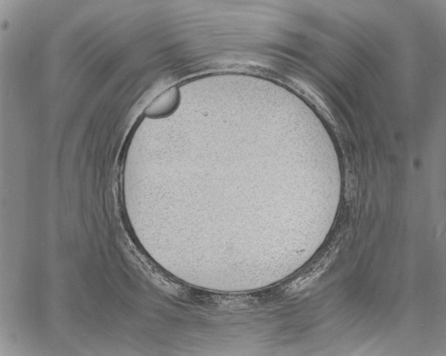 X0000060800899200512082147