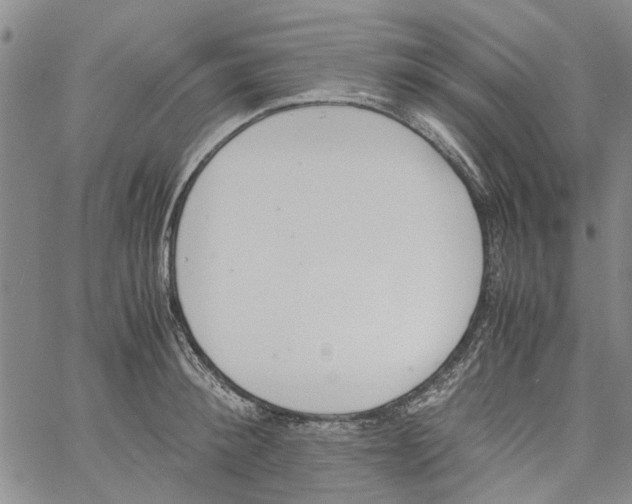 X0000060800900200512082147