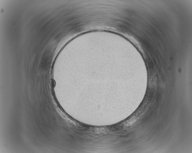 X0000060800903200512082147