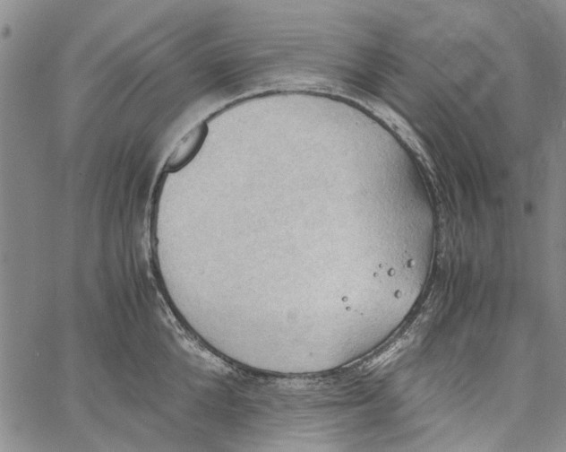 X0000060800904200512082147