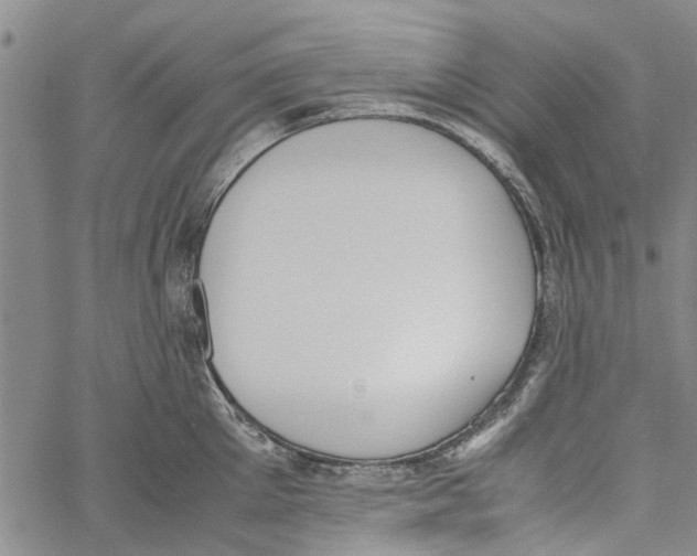 X0000060800905200512082147