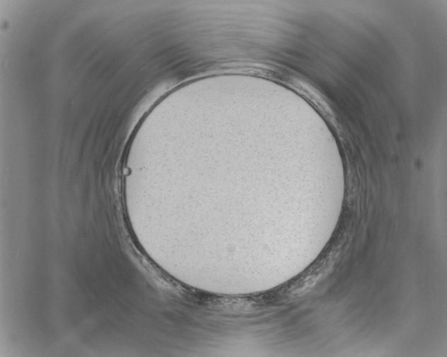 X0000060800907200512082147