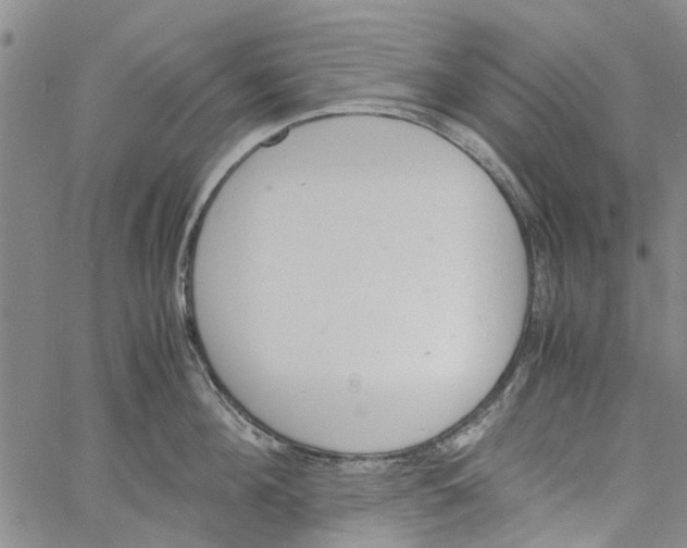 X0000060800908200512082147