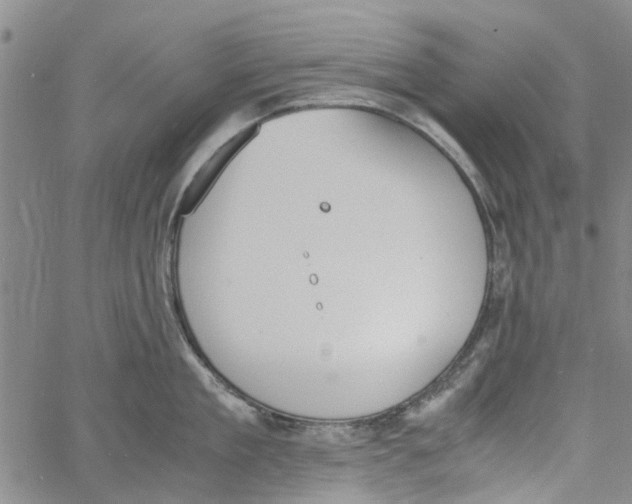 X0000060800909200512082147