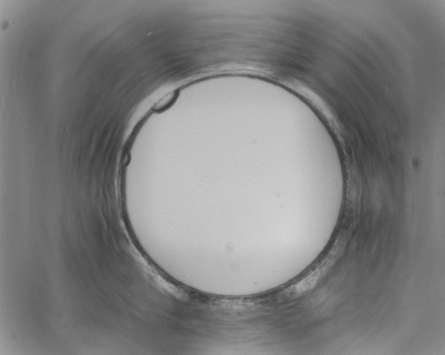 X0000060800910200512082147