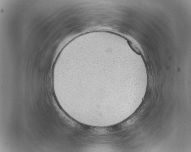 X0000060800911200512082147