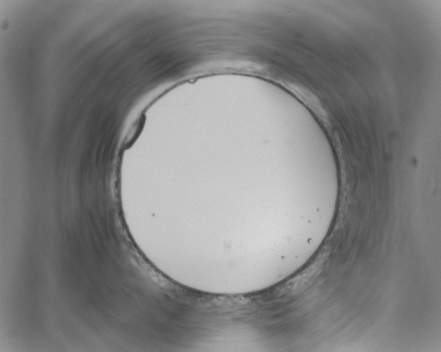 X0000060800912200512082147